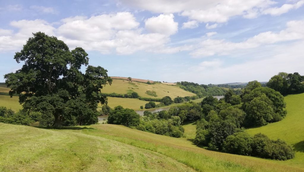 Following the Labyrinth. The truth behind a journalists ‘hook’