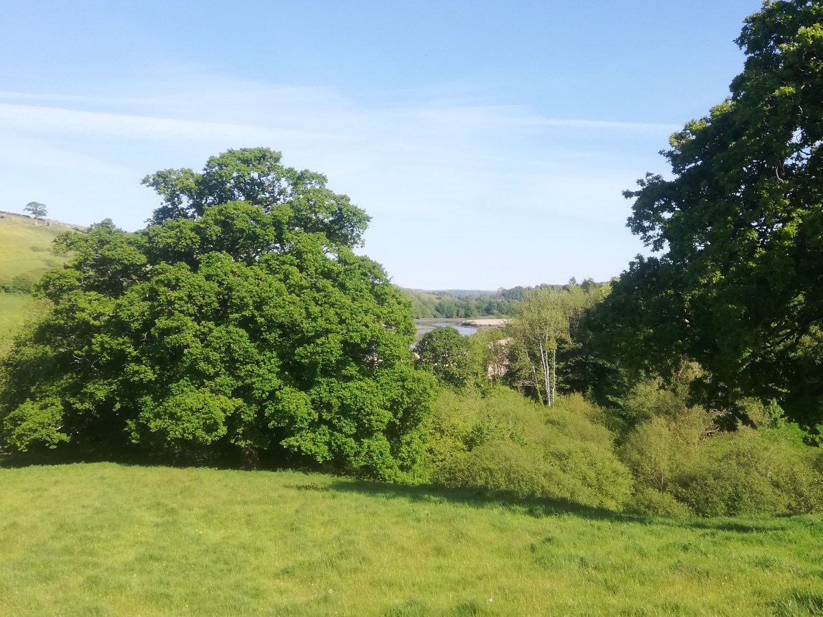 Grounding. What is it? How do you do it? Does it&nbsp;help?