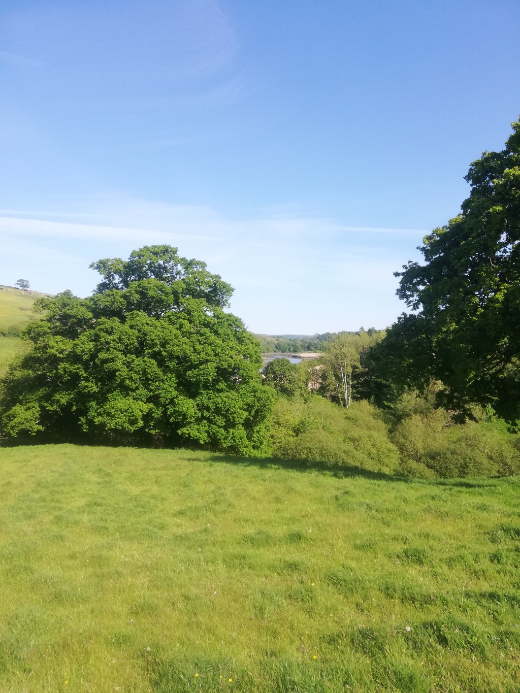 Grounding. What is it? How do you do it? Does it&nbsp;help?