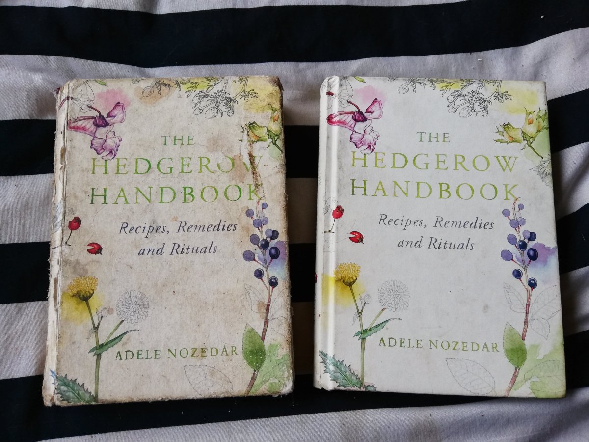 The Hedgerow Handbook/foraging with kids by Adele&nbsp;Nozedar