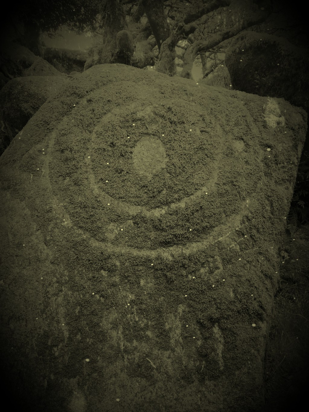 Friday 13th and&nbsp;Witches