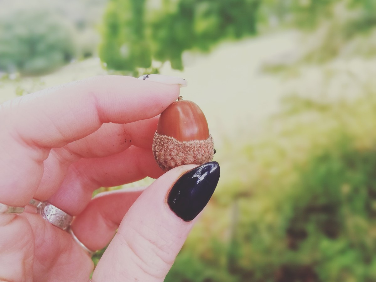 A word/rant on&nbsp;growth