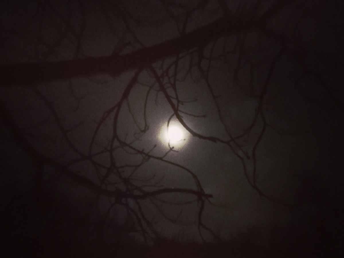 Working with The&nbsp;Moon