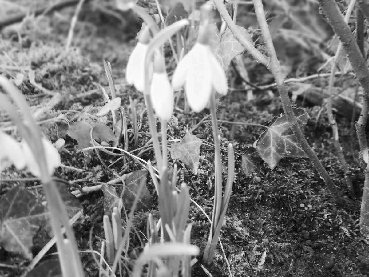 A word/rant on trauma&nbsp;anniversaries