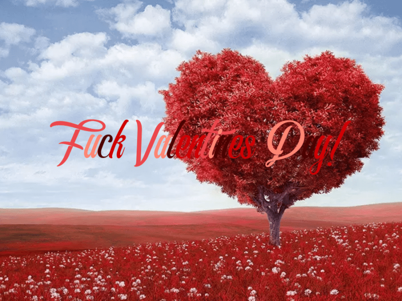 A Valentines rant on love, romance and choosing a&nbsp;partner.