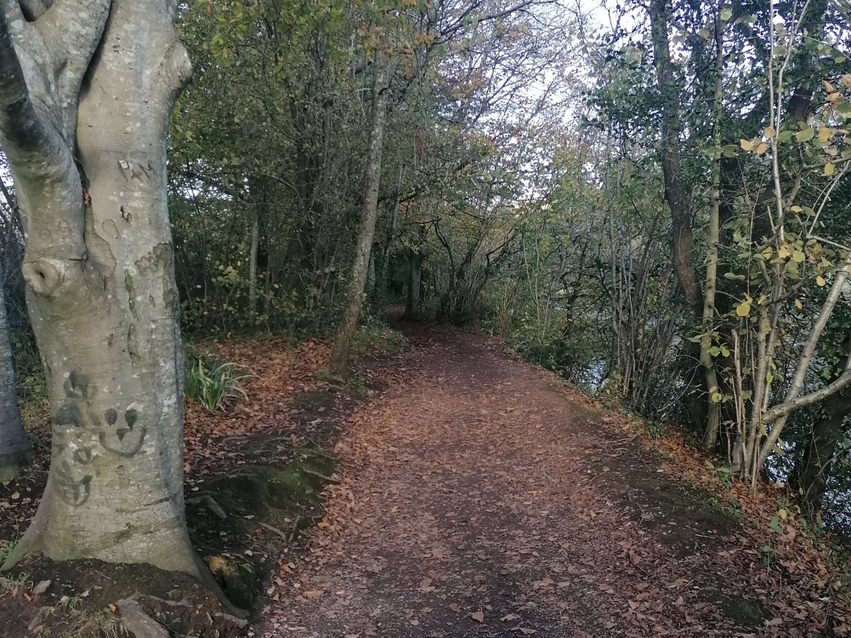 An Ancestral Healing&nbsp;Ritual