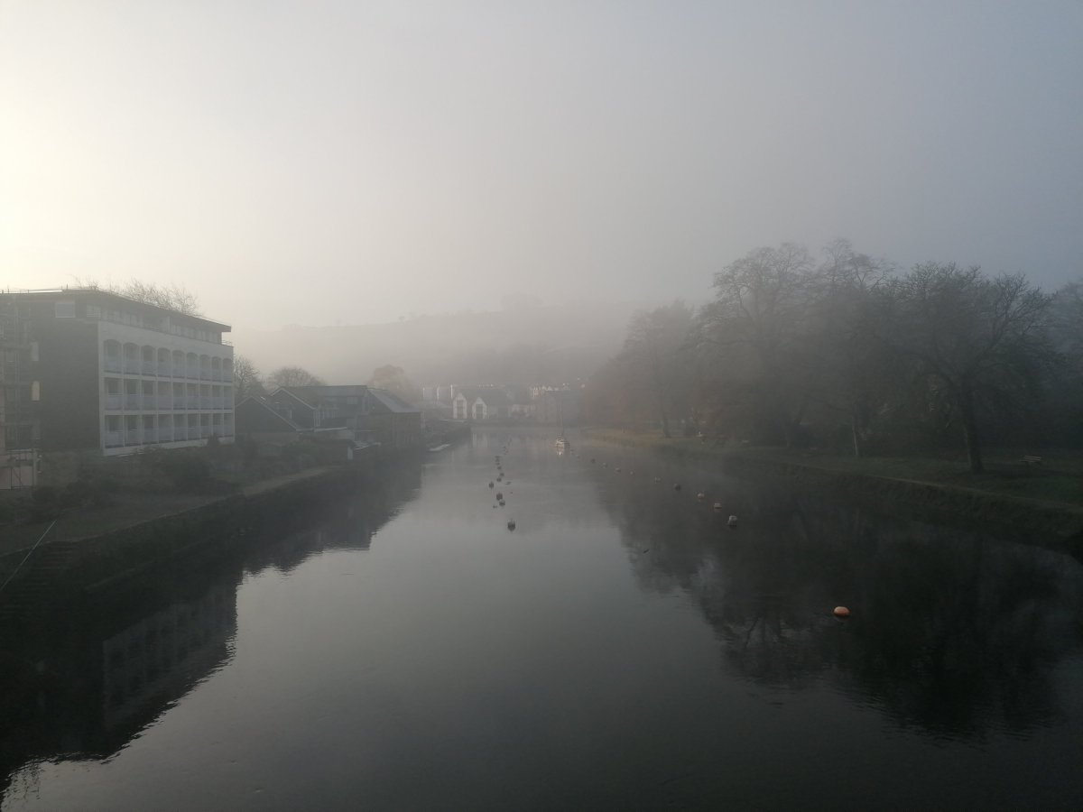 Tea Time Tuesday! A Self-care brew to support the immune system and spirit as we undergo&nbsp;transformation.