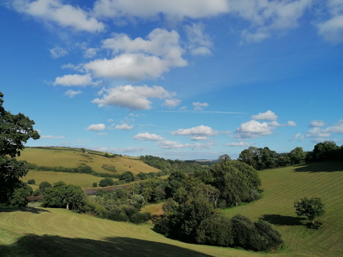 Lughnasadh/Lammas Rituals