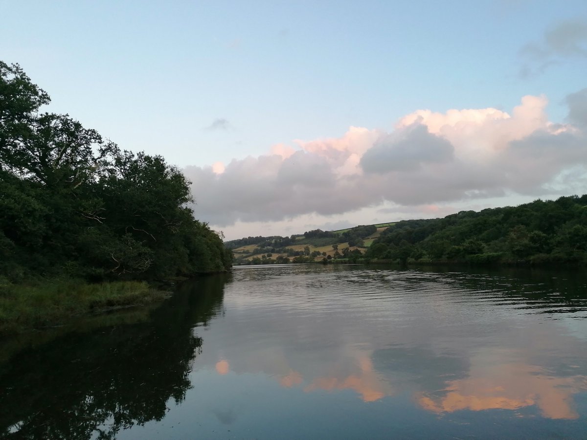 Self-care, Self-love, Self…&nbsp;Ish?