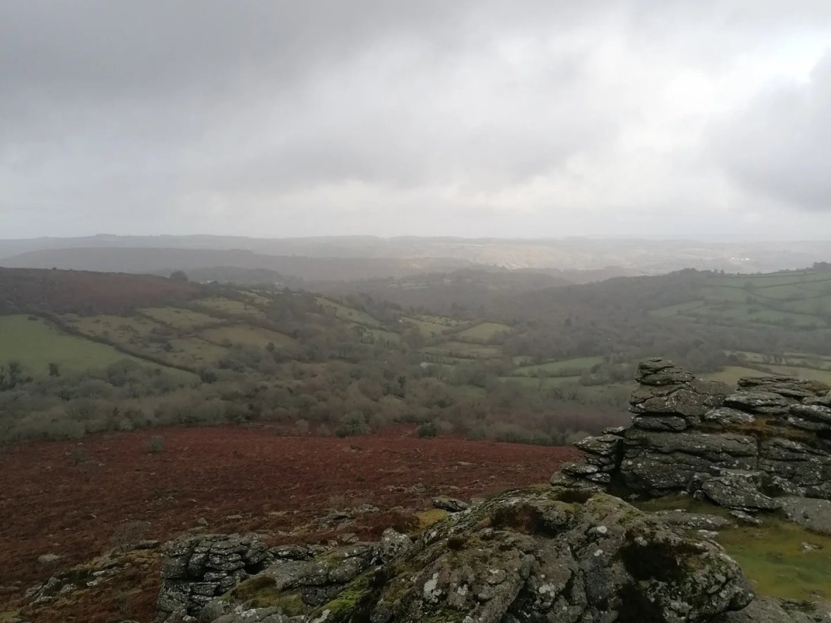 Primal Scream Ritual