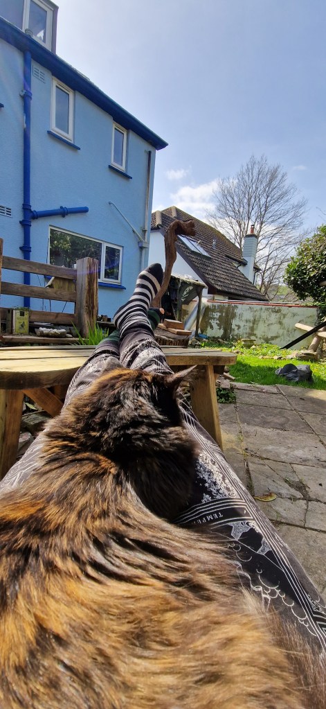 Legs outstretched with a tortoiseshell cat laid on them in front of a blue house and weedy garden.