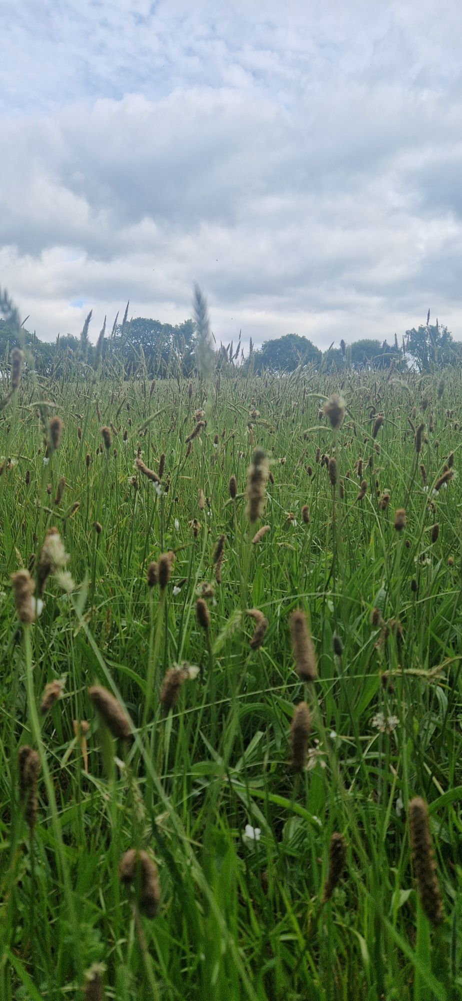 42 Life Update: alternative title ‘and she landed with a bump’