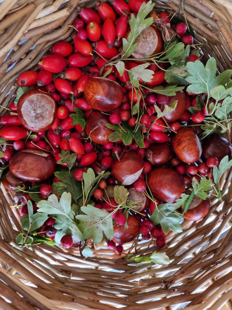 A basket of horse chestnuts, rosehips and Haws all mixed togther.